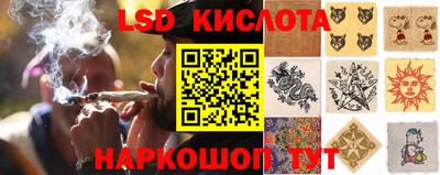 jwh Краснодар